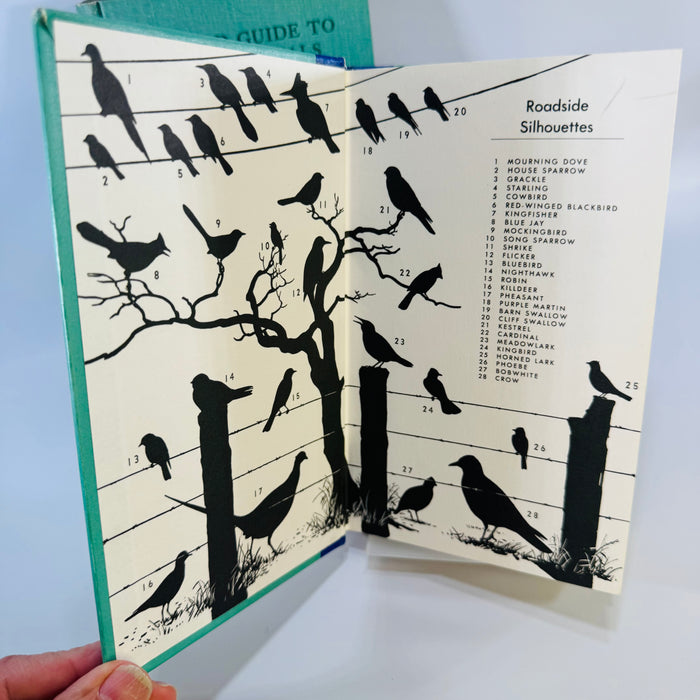 Peterson Field Guide Birds Mammals Bundle | Vintage Wildlife Reference Books