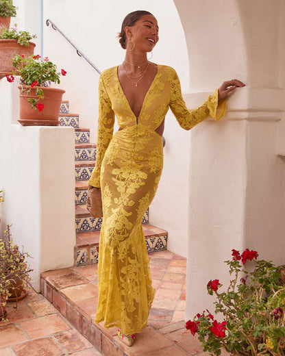 Jodie Cut Out Mesh Maxi Dress