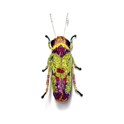 Sharpshooter Beetle