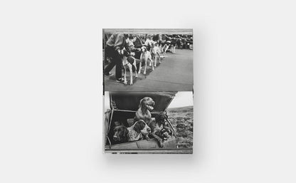 DogsDogs Elliott Erwitt