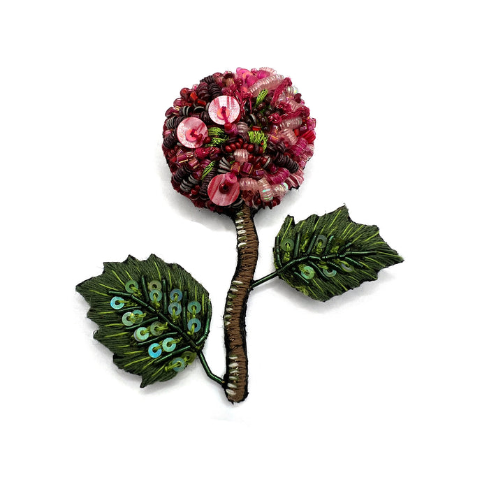 French Hydrangea