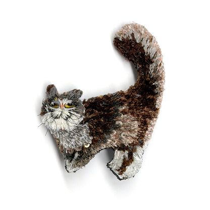 Fluffy Cat