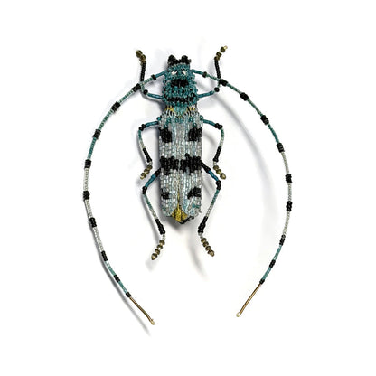 Alpine Longhorn Beetle