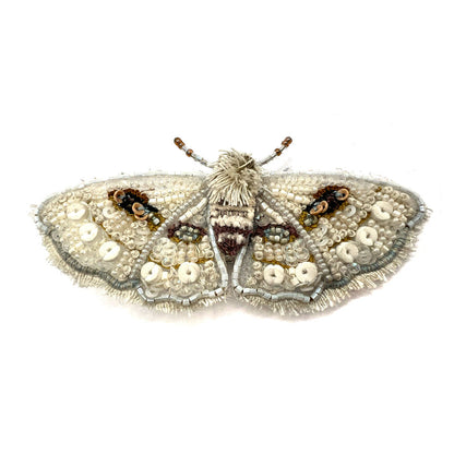 White Spring Moth