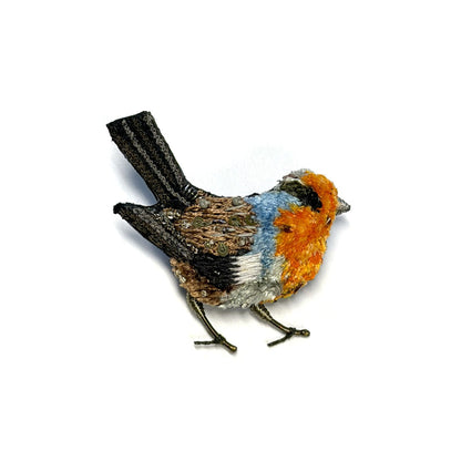 Robin Red Breast