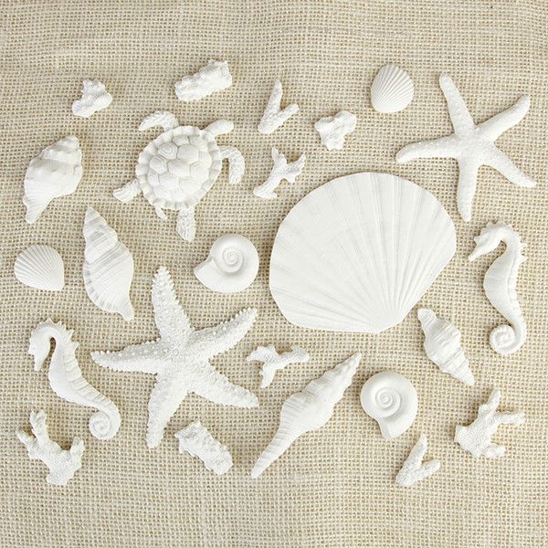 White Sea Creatures