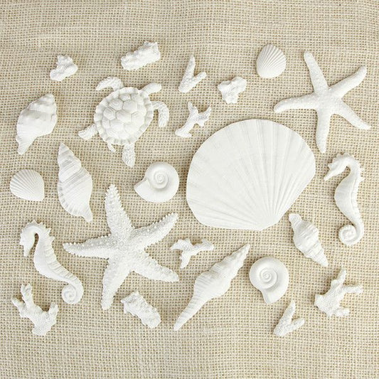 White Sea Creatures