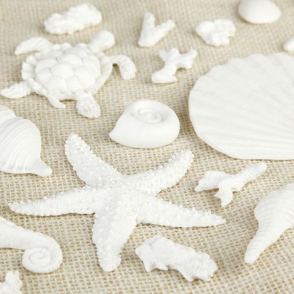 White Sea Creatures