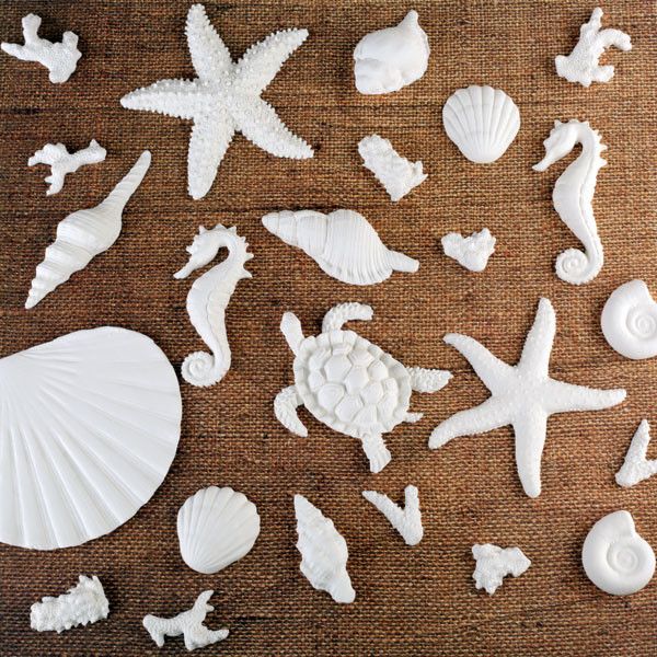 White Fondant Sea Shell & Sea Creatures handmade cake & cupcake decoration.