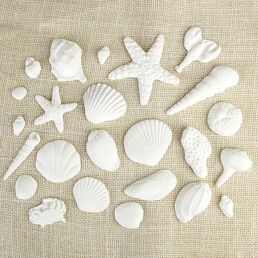 These fun edible fondant White Sea Shells are perfect additions for any “Under the Sea” themed cakes.